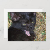 Carte Postale Petit bout (Devant / Derrière)