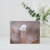 Carte Postale Petit champignon photo de nature (Debout devant)
