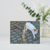 Carte Postale Petit Chat Point Ephèse (Debout devant)