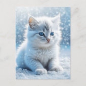 Carte Postale Petit chaton blanc dans Noël de neige (Devant)