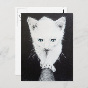 Carte Postale Petit chaton blanc Dessin animal Amoureux de les c