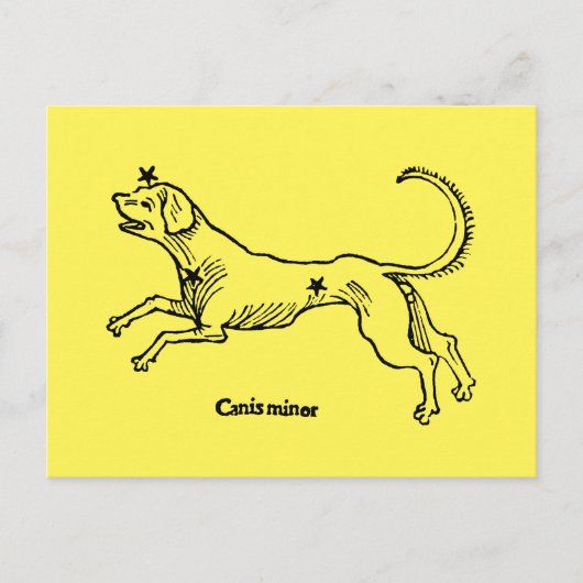 Carte Postale Petit Chien, 1482 (Devant)