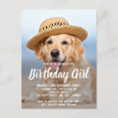 Carte Postale Petit Chien Anniversaire Fête Animaux de compagnie (Devant)