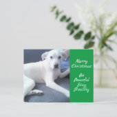 Carte Postale Petit Chien Blanc Tranquille Assis Avec Papa Vert (Debout devant)