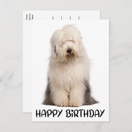 Carte Postale Petit Chien Chien Chien Vieux Anglais Chien à Chie (Devant / Derrière)