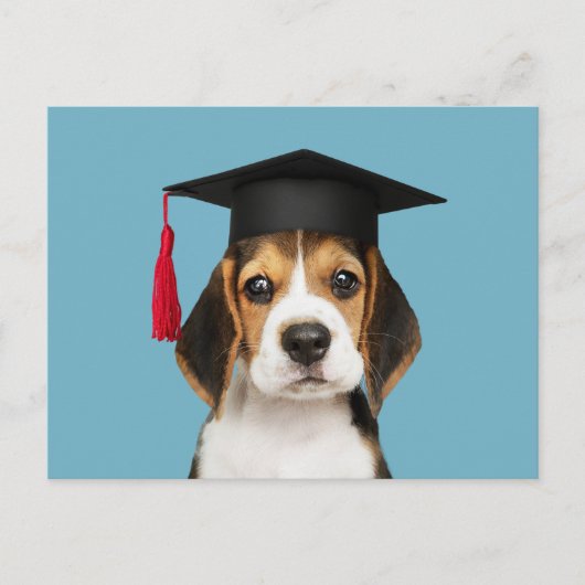 Carte Postale Petit chiot beagle dans une casquette de graduatio (Devant)