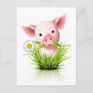 Carte Postale Petit cochon rose dans l'herbe