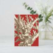 Carte Postale Petit corail en rouge (Debout devant)