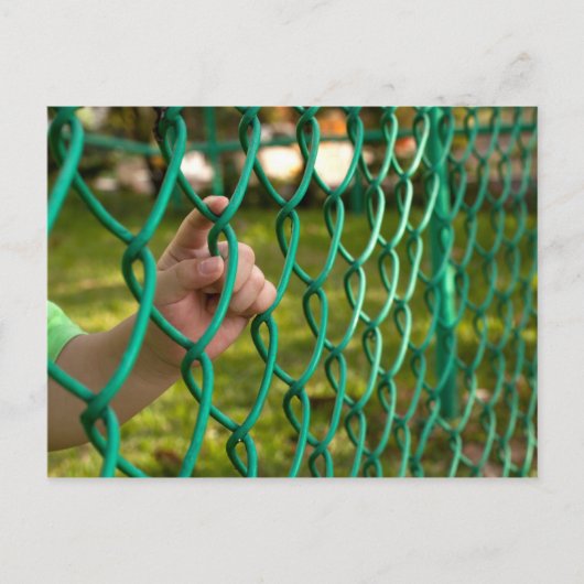 Carte Postale Petit doigt sur la clôture (Devant)