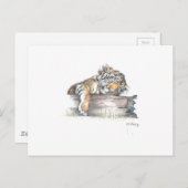 Carte Postale Petit du cub dort (Devant / Derrière)