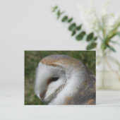 Carte Postale Petit-duc (Debout devant)