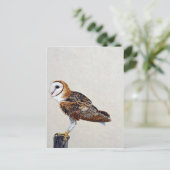 Carte Postale Petit-duc (Debout devant)