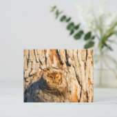 Carte Postale Petit-duc de l'Est (Debout devant)