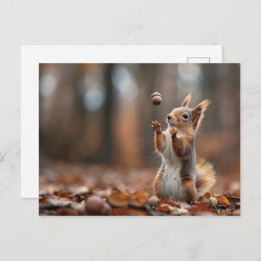 Carte Postale Petit écureuil mignon attrapant une glande (Devant / Derrière)