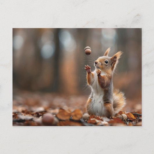 Carte Postale Petit écureuil mignon attrapant une glande (Devant)
