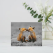 Carte Postale Petit Fox Love (Debout devant)
