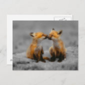 Carte Postale Petit Fox Love (Devant / Derrière)