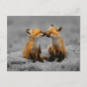 Carte Postale Petit Fox Love