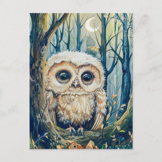 Carte Postale Petit hibou en Branche à Half Moon (Devant)
