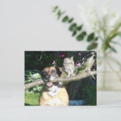 Carte Postale Petit hibou et gros chien (Debout devant)