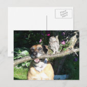 Carte Postale Petit hibou et gros chien (Devant / Derrière)