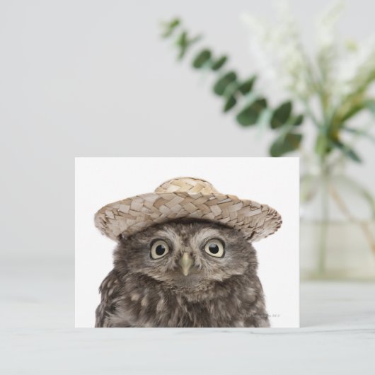 Carte Postale Petit hibou utilisant un chapeau de paille - (Debout devant)