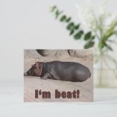 Carte Postale Petit Hippo dit tout (Debout devant)
