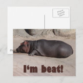 Carte Postale Petit Hippo dit tout (Devant / Derrière)