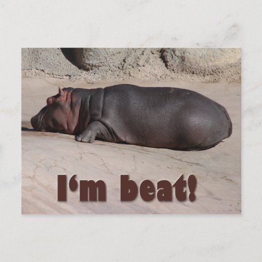 Carte Postale Petit Hippo dit tout (Devant)