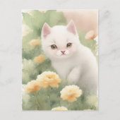 Carte Postale Petit Kitten blanc (Devant)