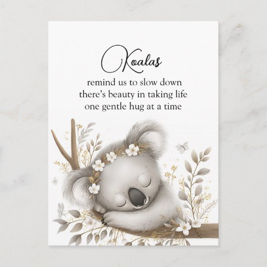 Carte Postale Petit koala endormi (Devant)