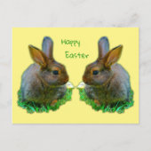 Carte Postale Petit Lapin (Devant)