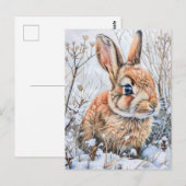Carte Postale Petit lièvre dans un champ enneigé. Lapin (Devant / Derrière)