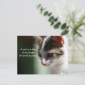 Carte Postale Petit lion (Debout devant)