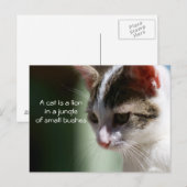 Carte Postale Petit lion (Devant / Derrière)