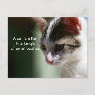 Carte Postale Petit lion