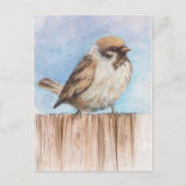 Carte Postale Petit moineau (Devant)