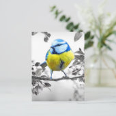 Carte Postale Petit Oiseau noir et blanc photo (Debout devant)