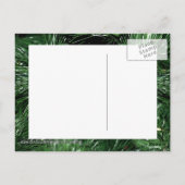 Carte Postale Petit Ornement Cheval-Roche Jaune (Dos)