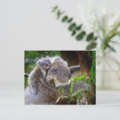 Carte Postale Petit ours koala bébé avec maman dans un arbre (Debout devant)