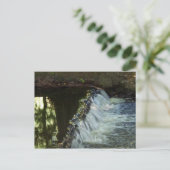 Carte postale Petit pas de cascade (Debout devant)