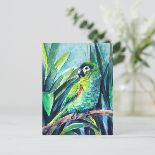 Carte Postale Petit perroquet (Debout devant)