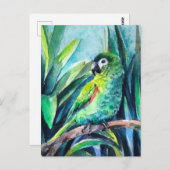Carte Postale Petit perroquet (Devant / Derrière)