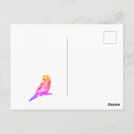 Carte Postale Petit perroquet (Dos)