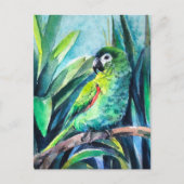 Carte Postale Petit perroquet (Devant)