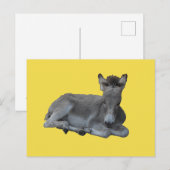 Carte Postale Petit Petit Foin Gris D'Âne (Devant / Derrière)