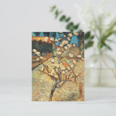Carte Postale Petit poirier en fleurs par Vincent van Gogh (Debout devant)