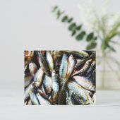 Carte Postale Petit poisson blanc (Debout devant)