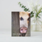 CARTE POSTALE PETIT POITRON CUL (Debout devant)