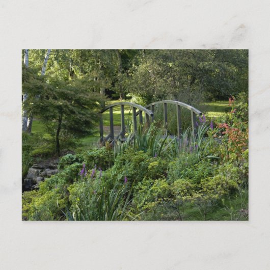 Carte Postale Petit pont en bois (Devant)